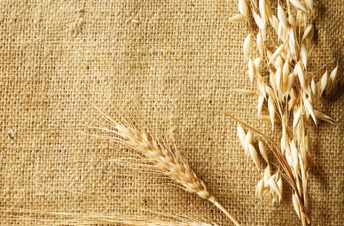 The Sheaf of Wheat